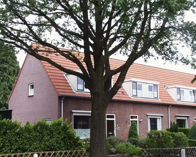 Goudsbloemstraat