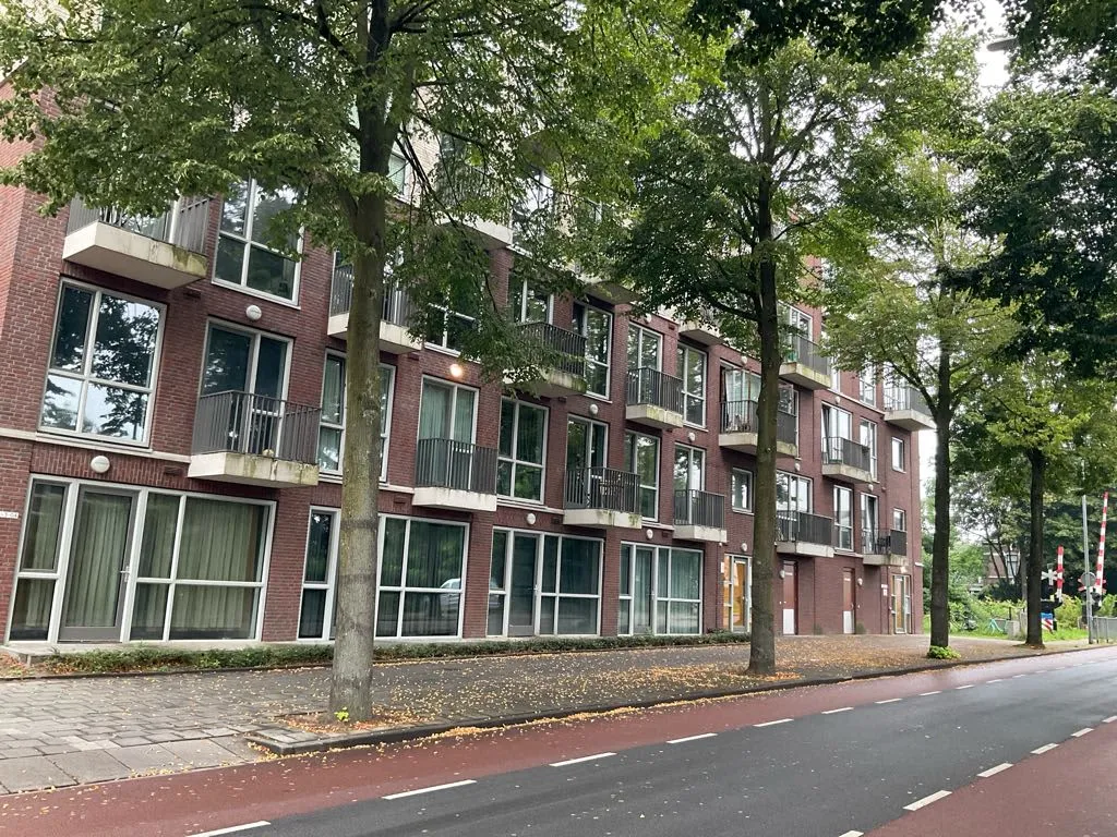 Lingedijk