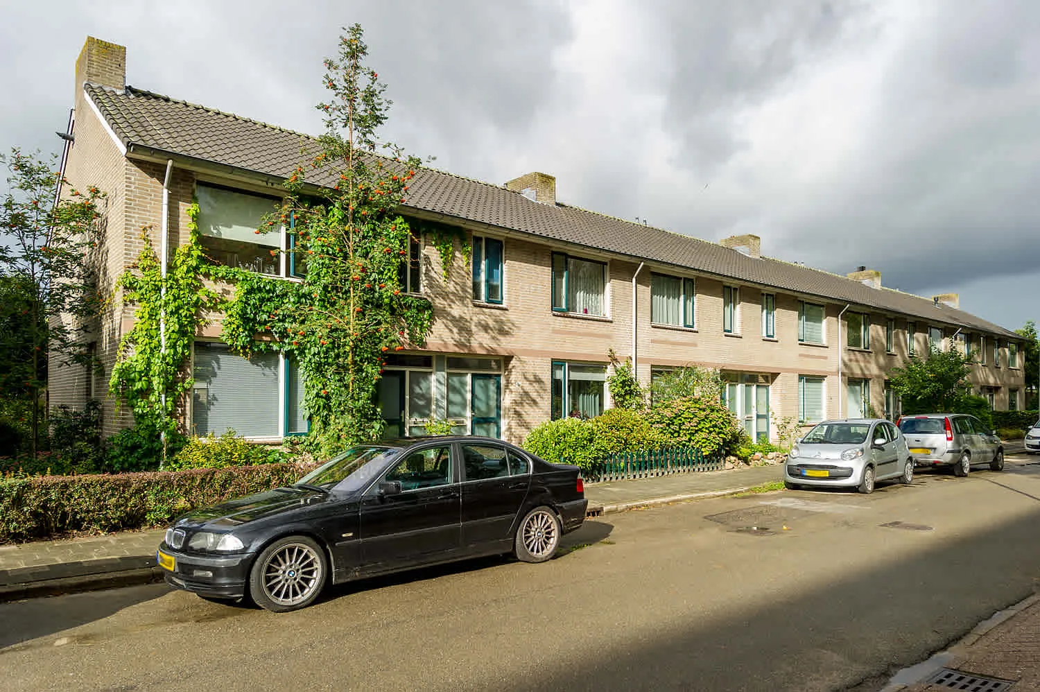 Spreeuwenstraat