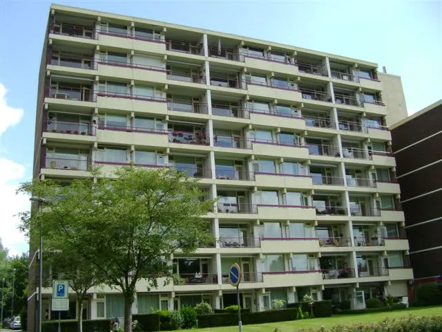 Duivenwal