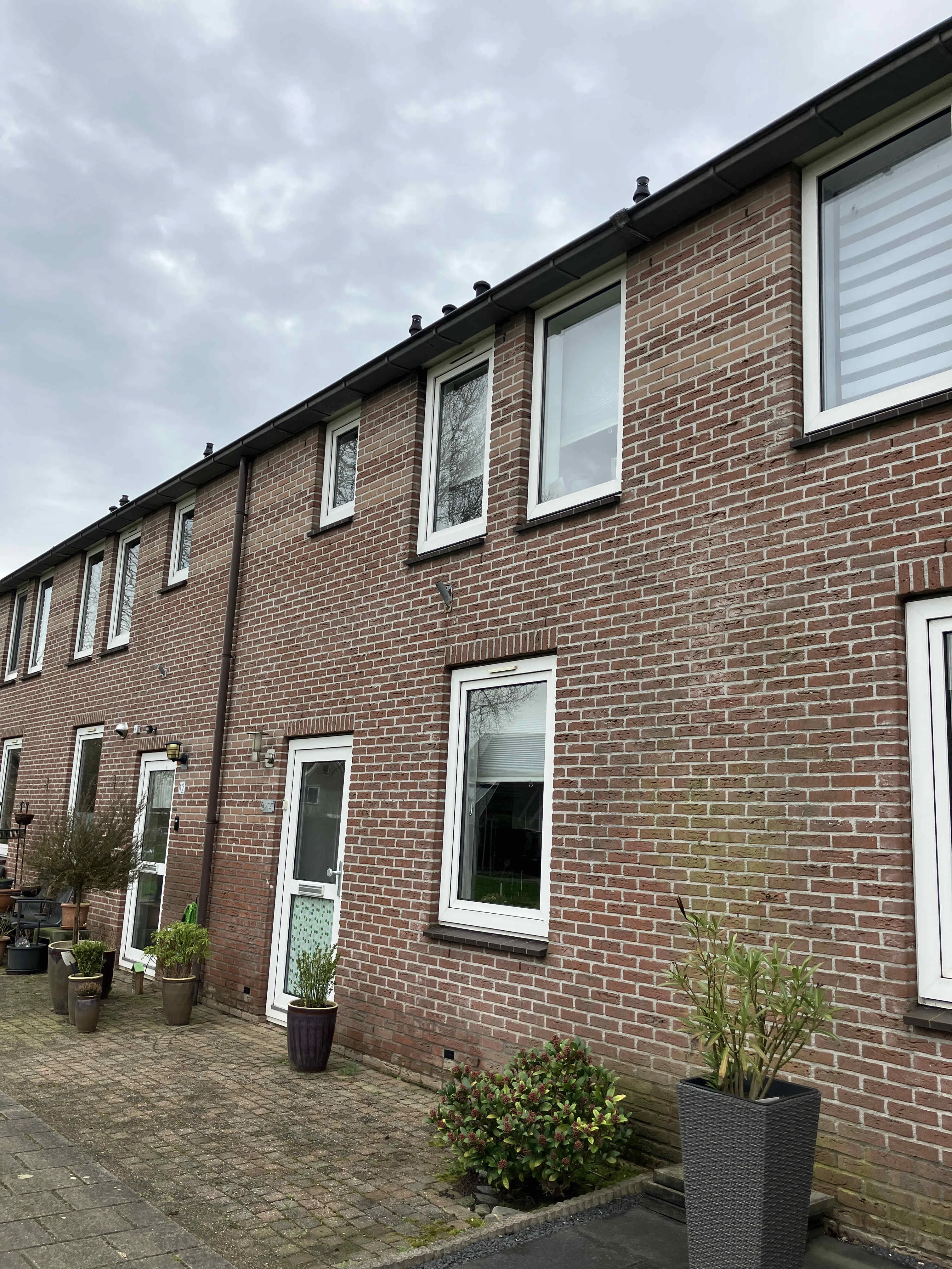 Rijnesteijn