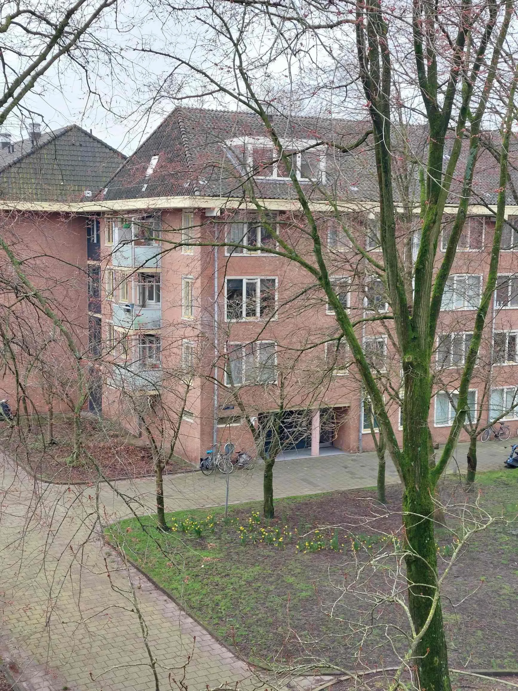 Roomtuintjes