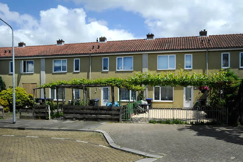 Pluvierstraat