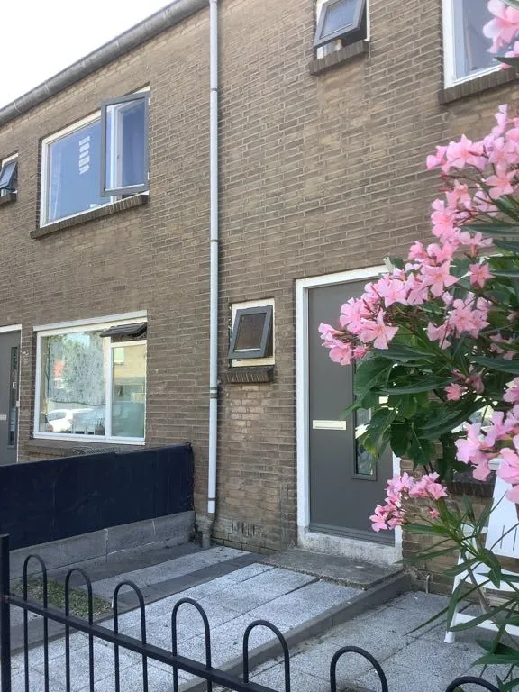 Korenbloemstraat