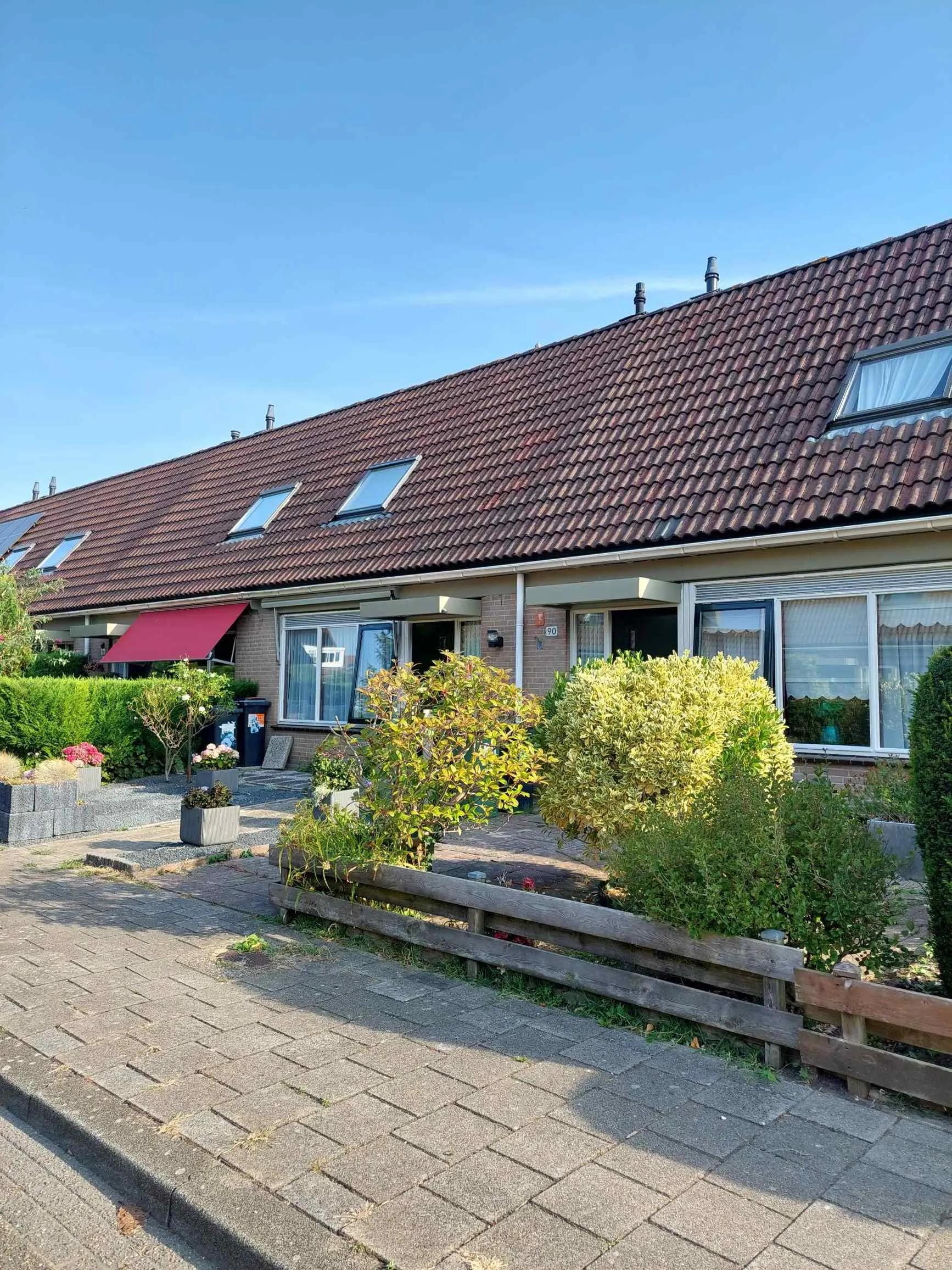 Albergerbos