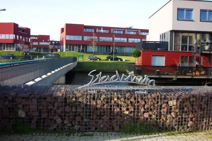 Meerval