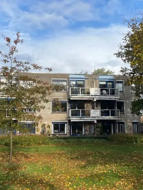 Zilverschoonstraat