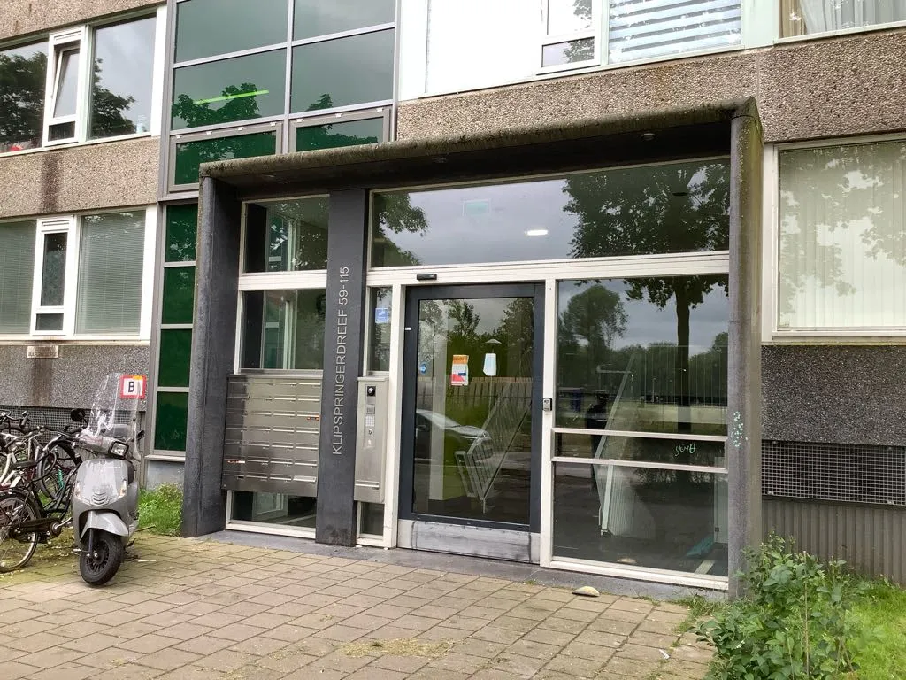 Klipspringerdreef