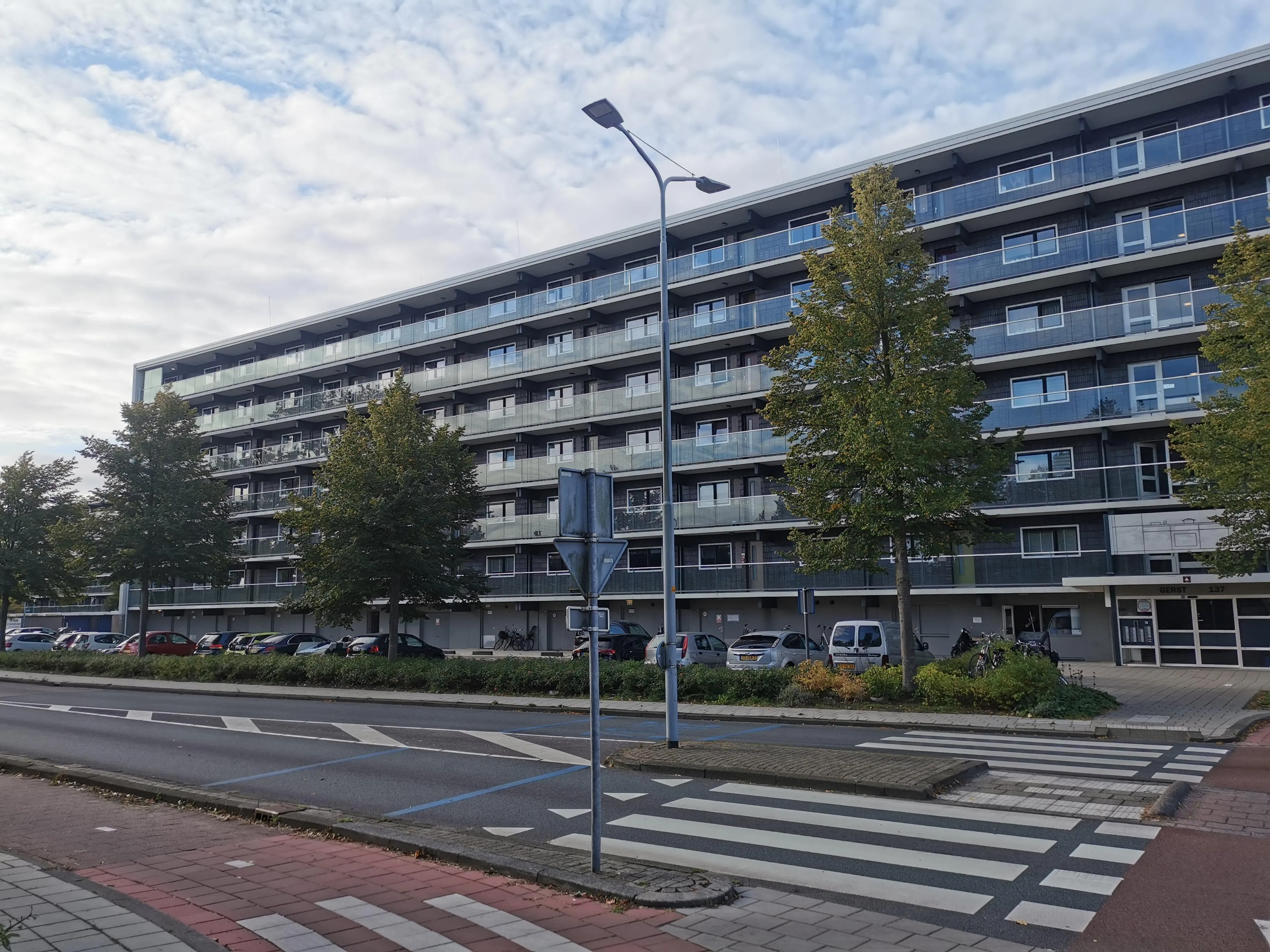Graan voor Visch
