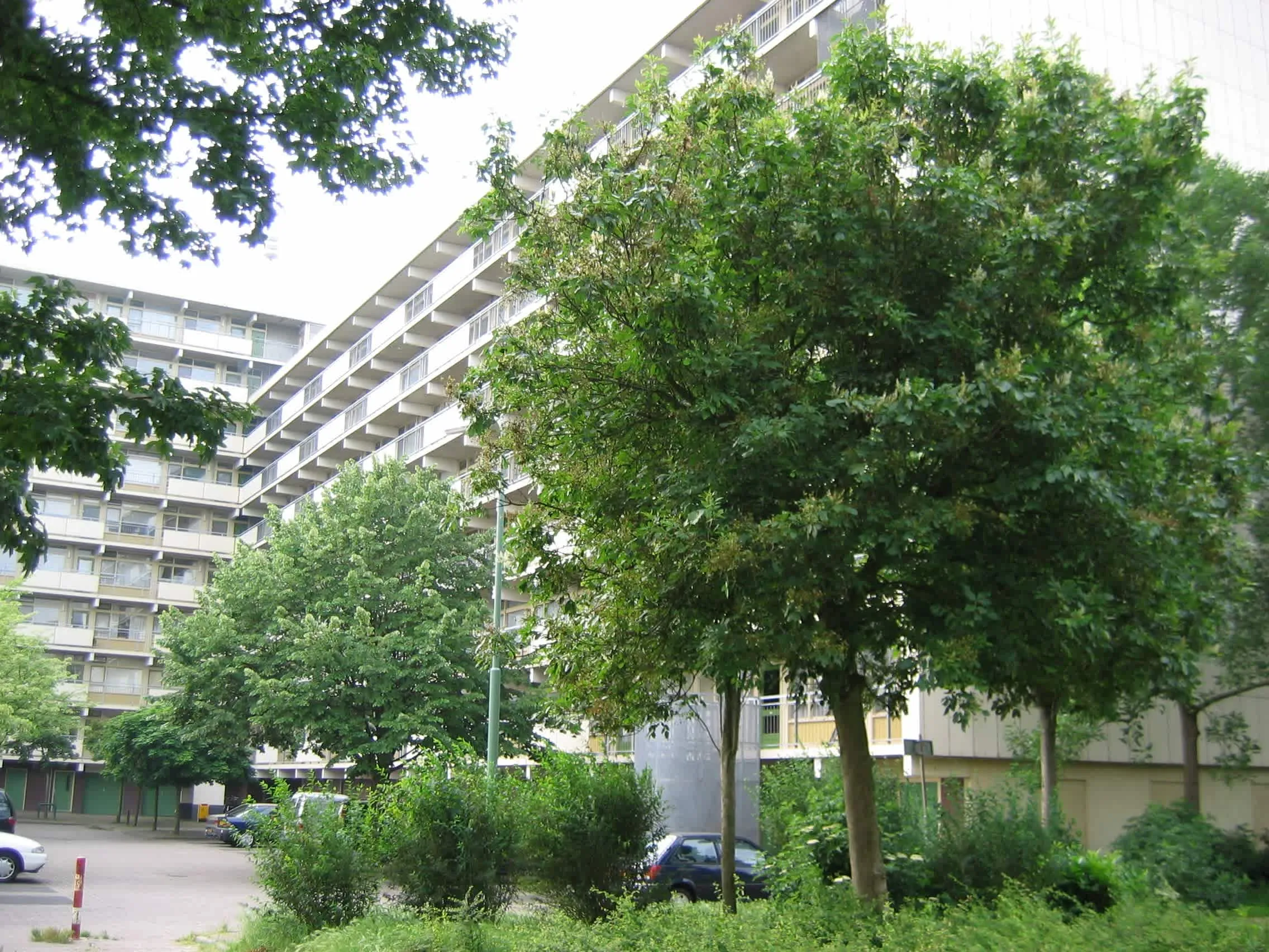 Couwenhoven