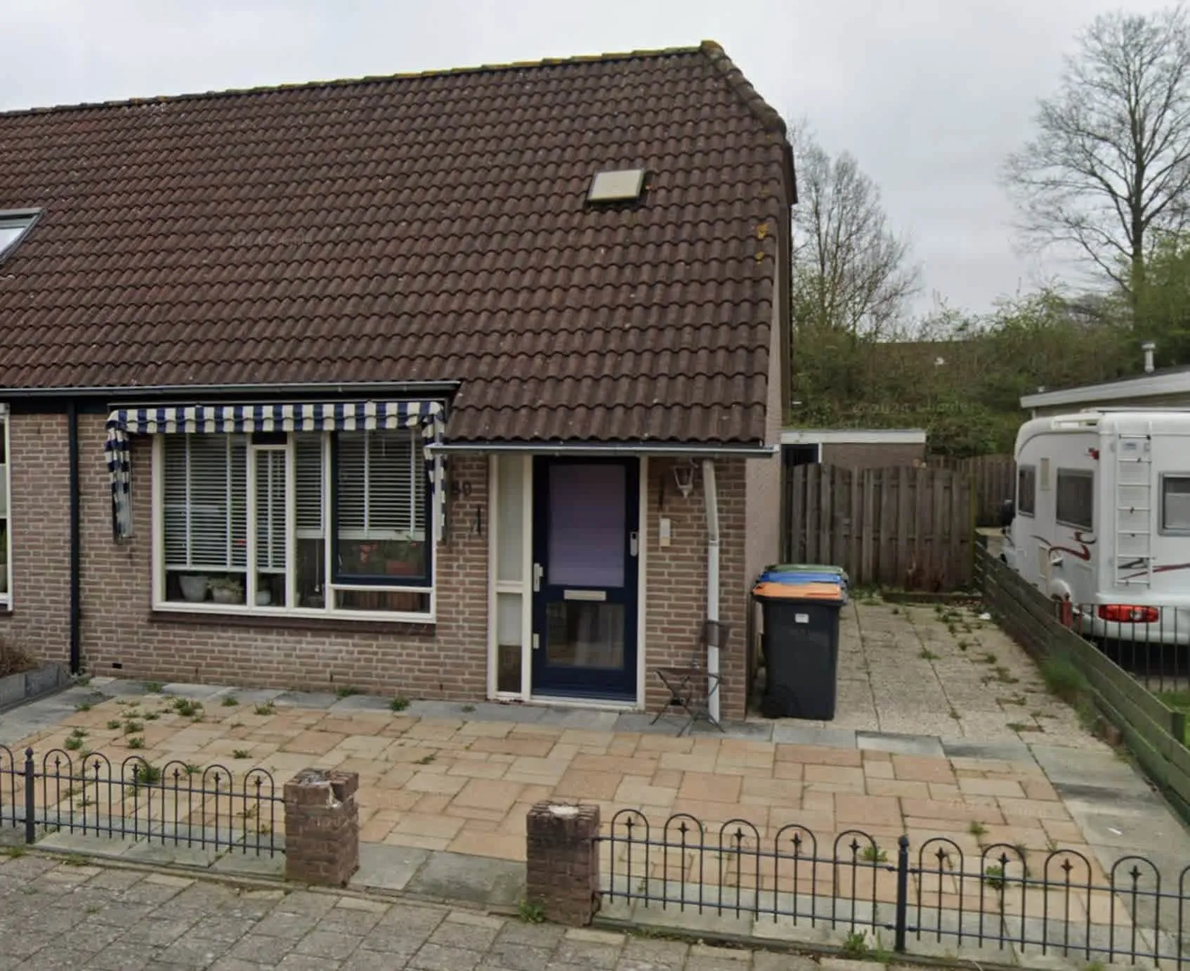 Scholekster