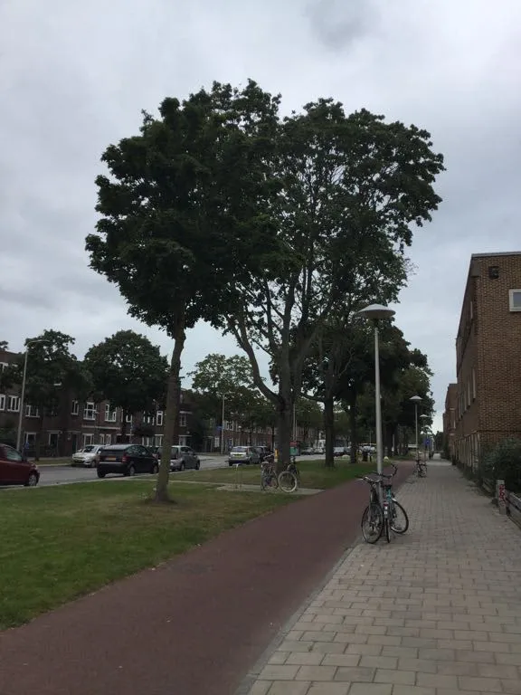 Van Egmondkade