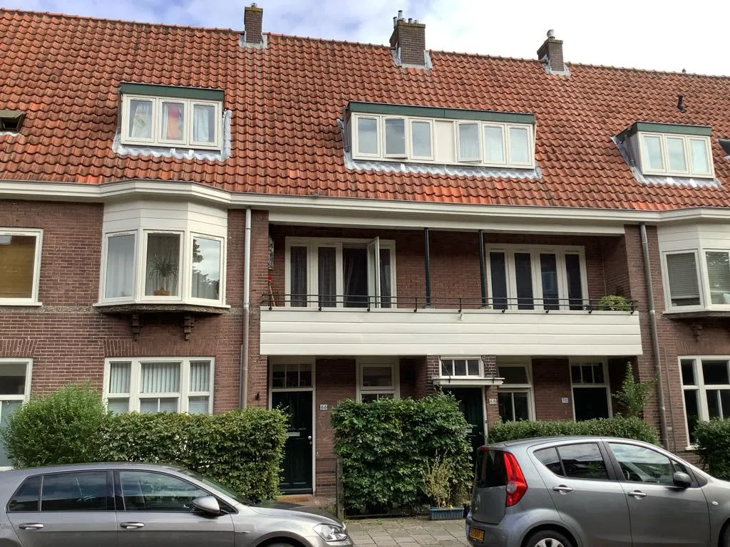 Ferdinand Bolstraat
