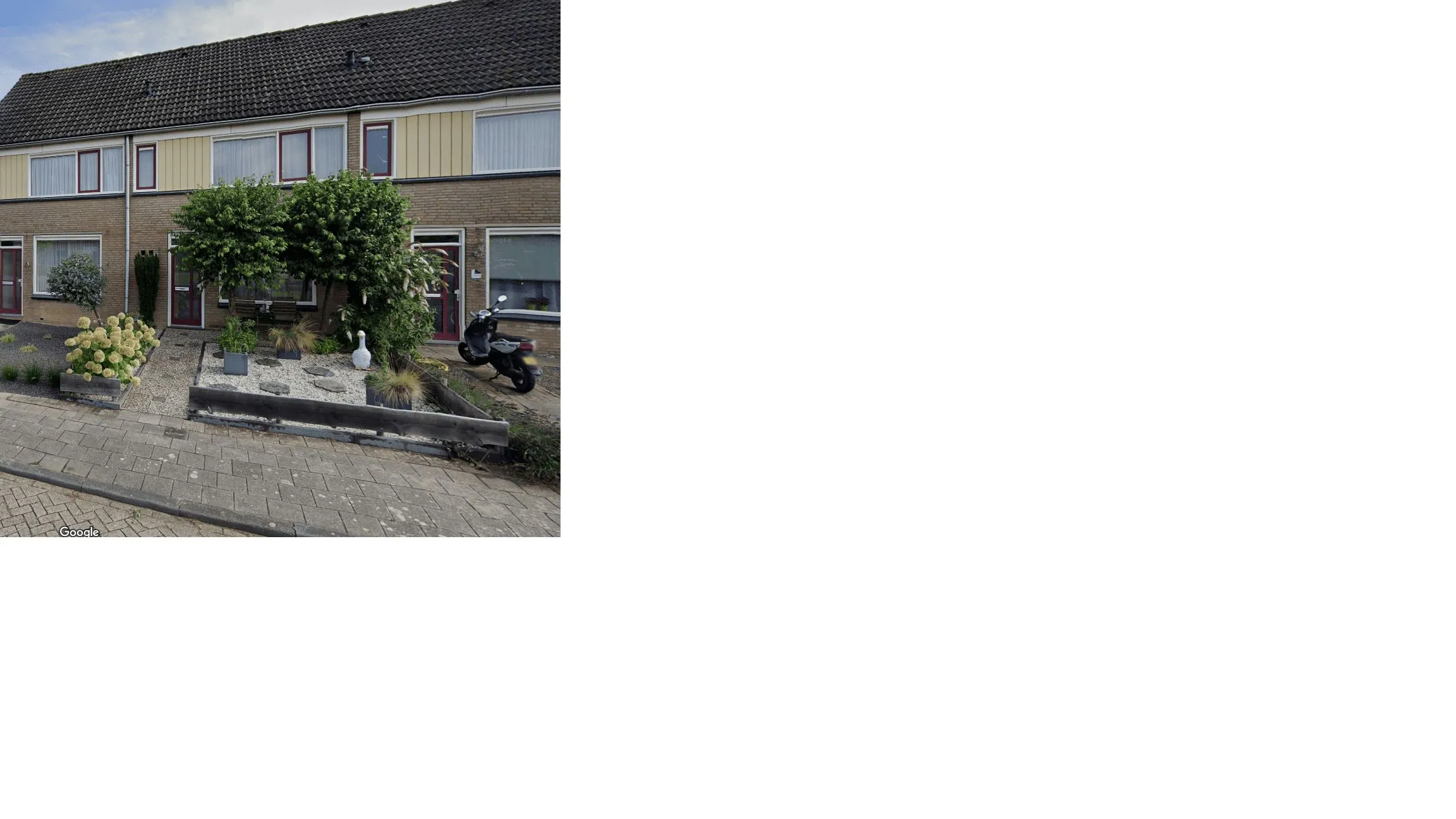 Tulpstraat
