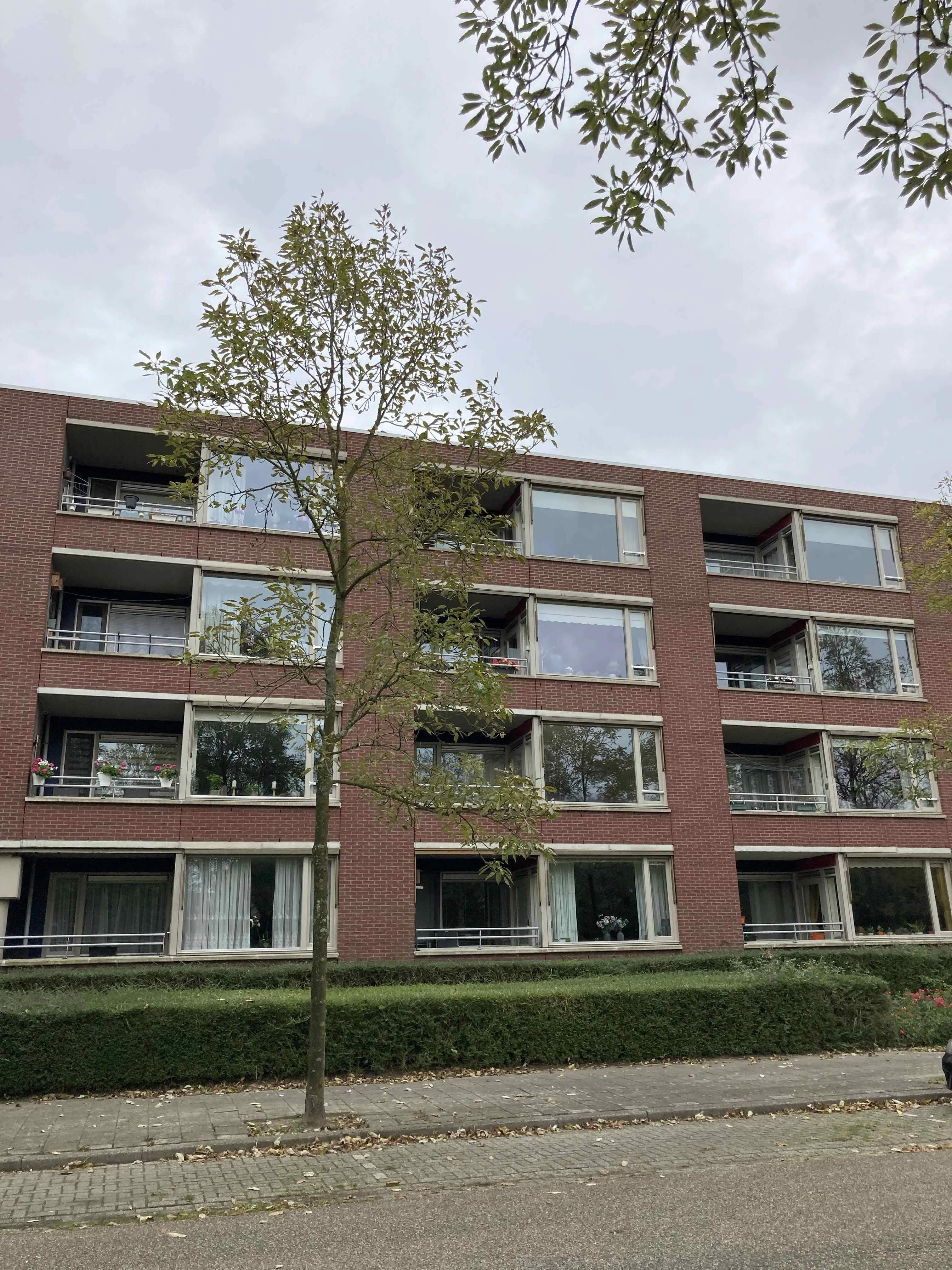 Pyramideboomgaard