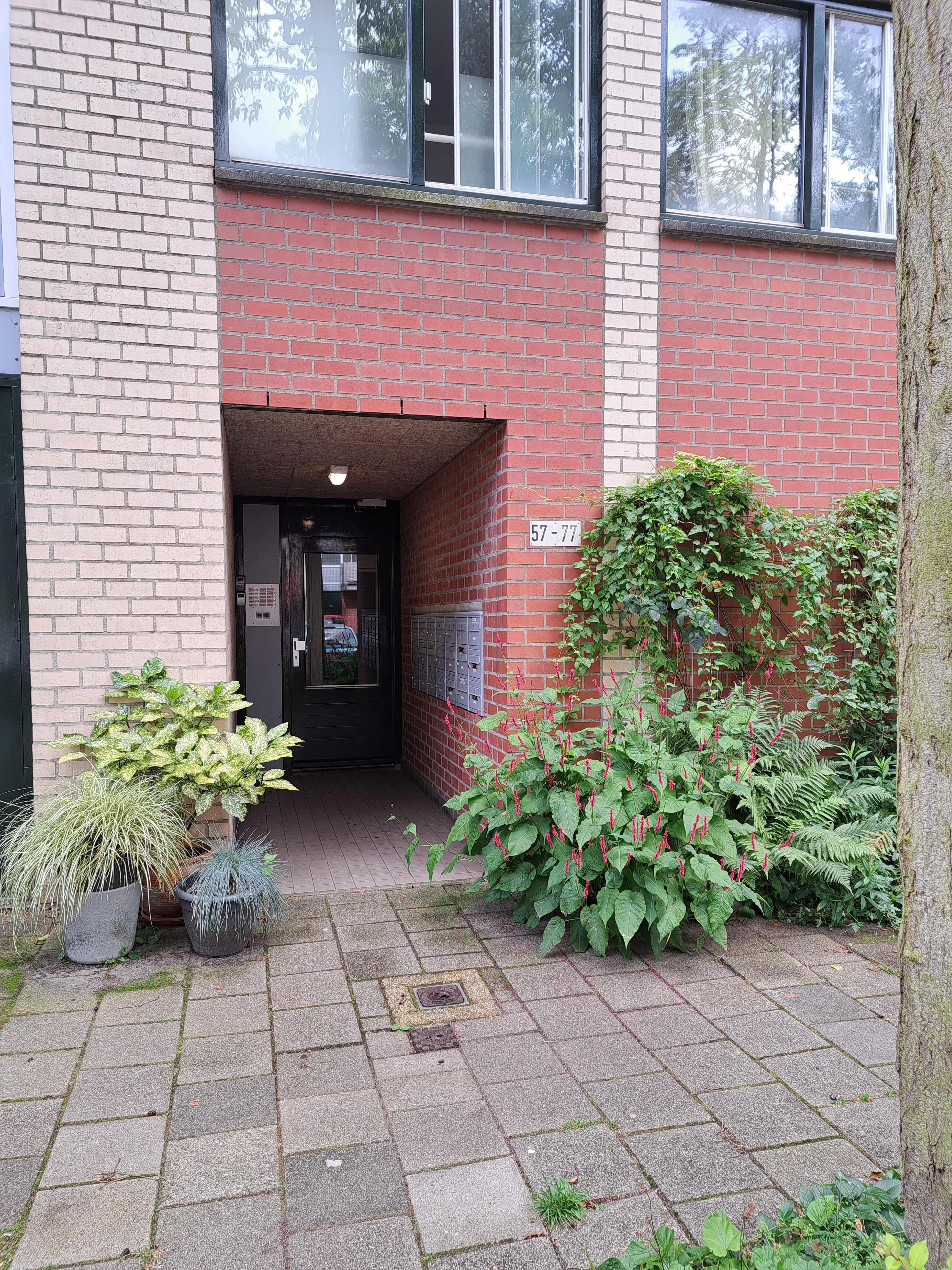 Diaconessenplein