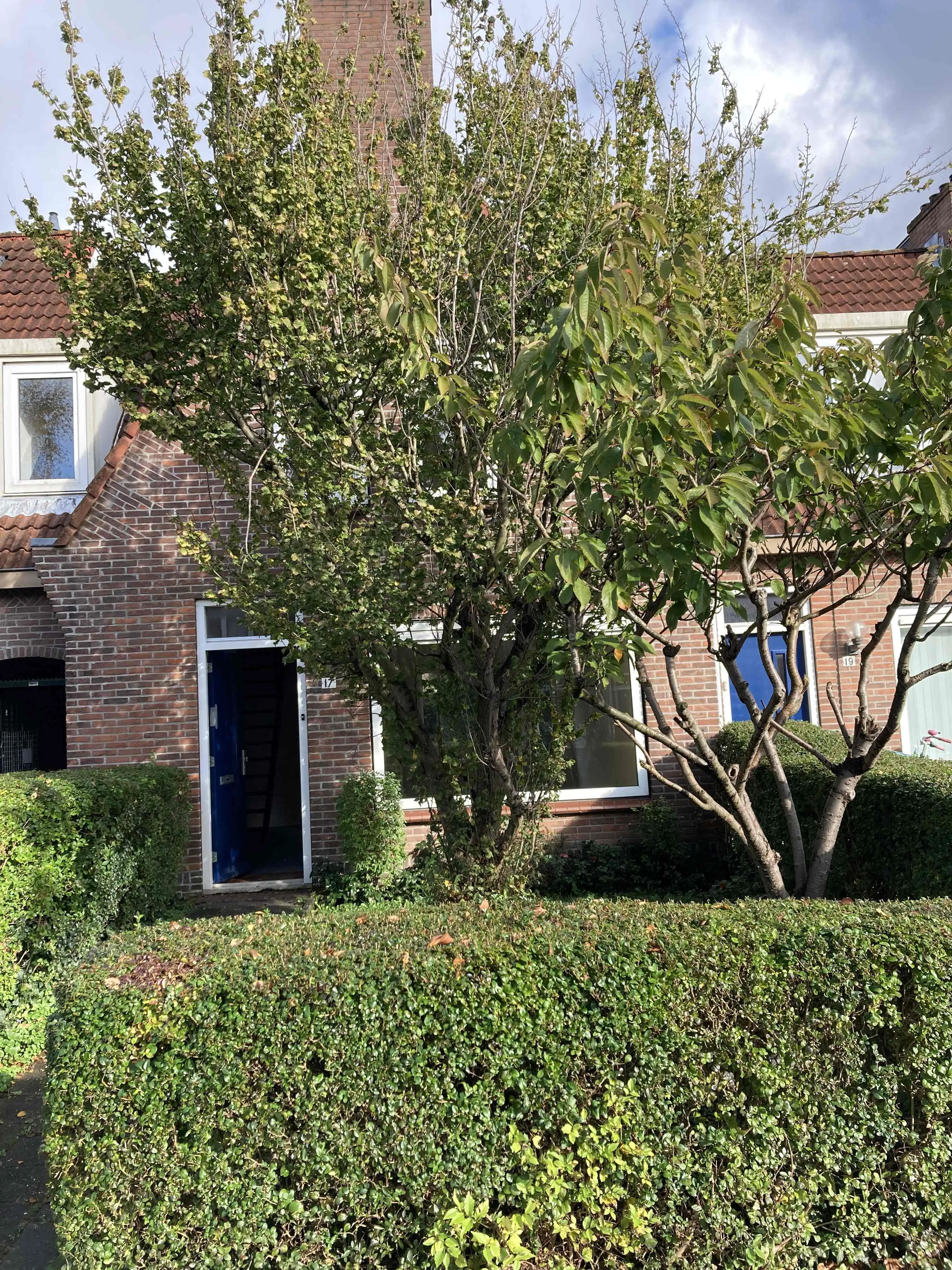 Van Baerlestraat 17 2026VP Haarlem