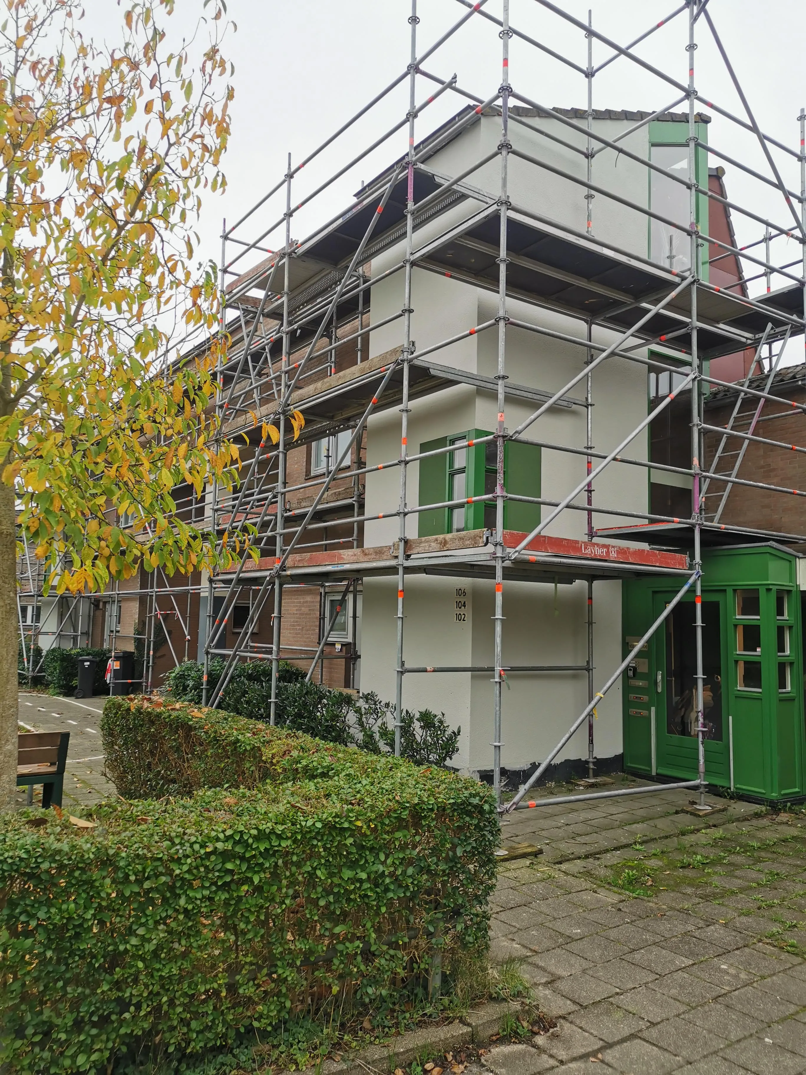 Tolheksbos