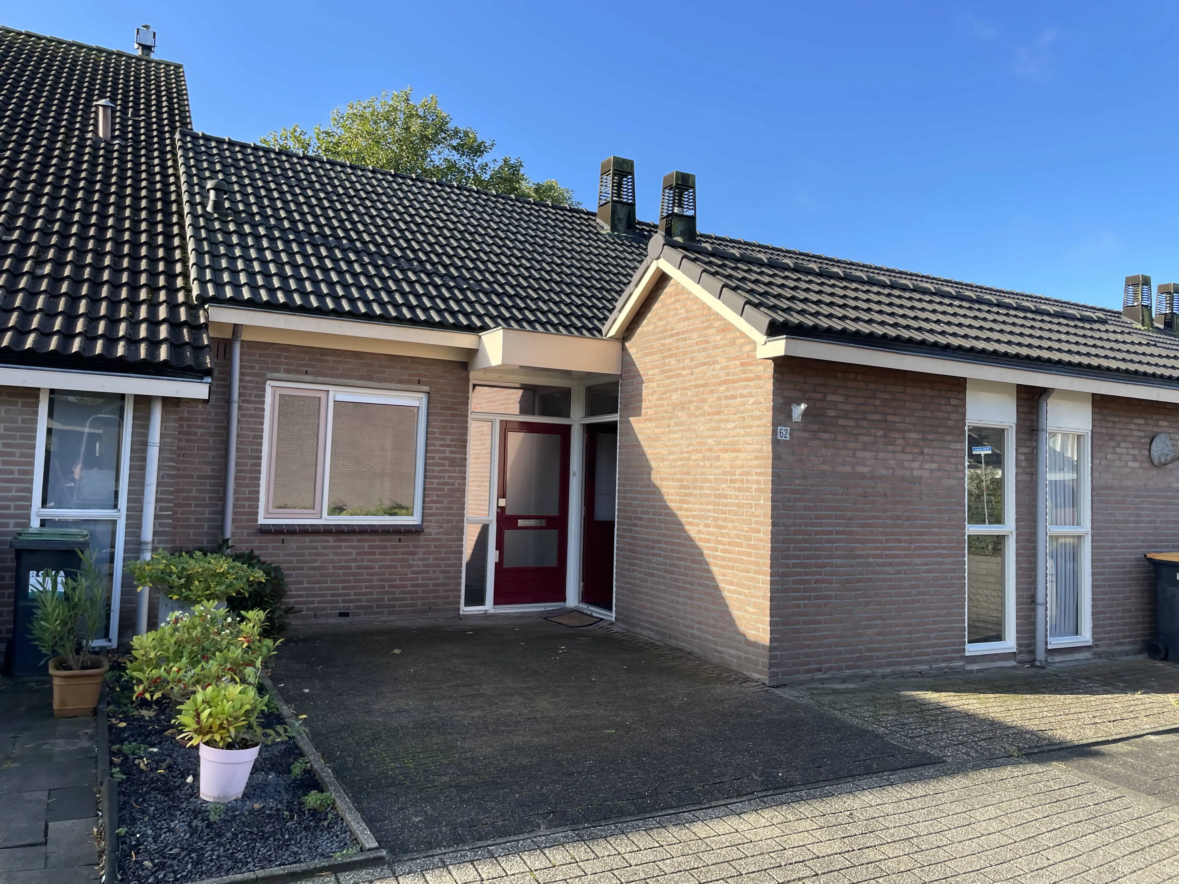 Wilde Zwaan