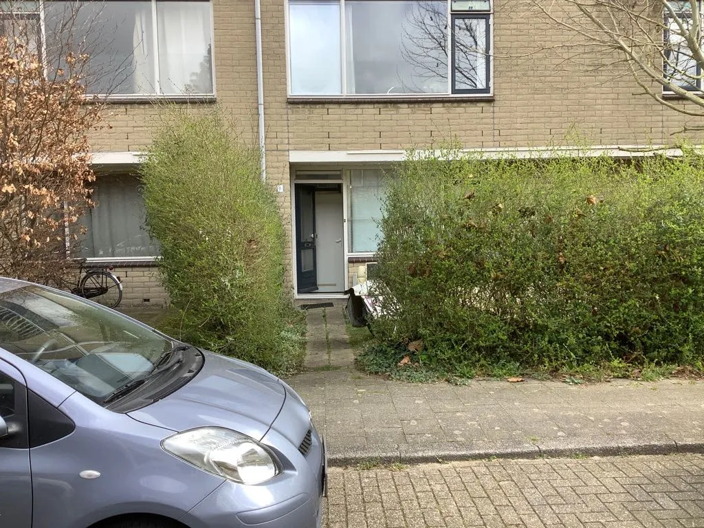 Terschelling