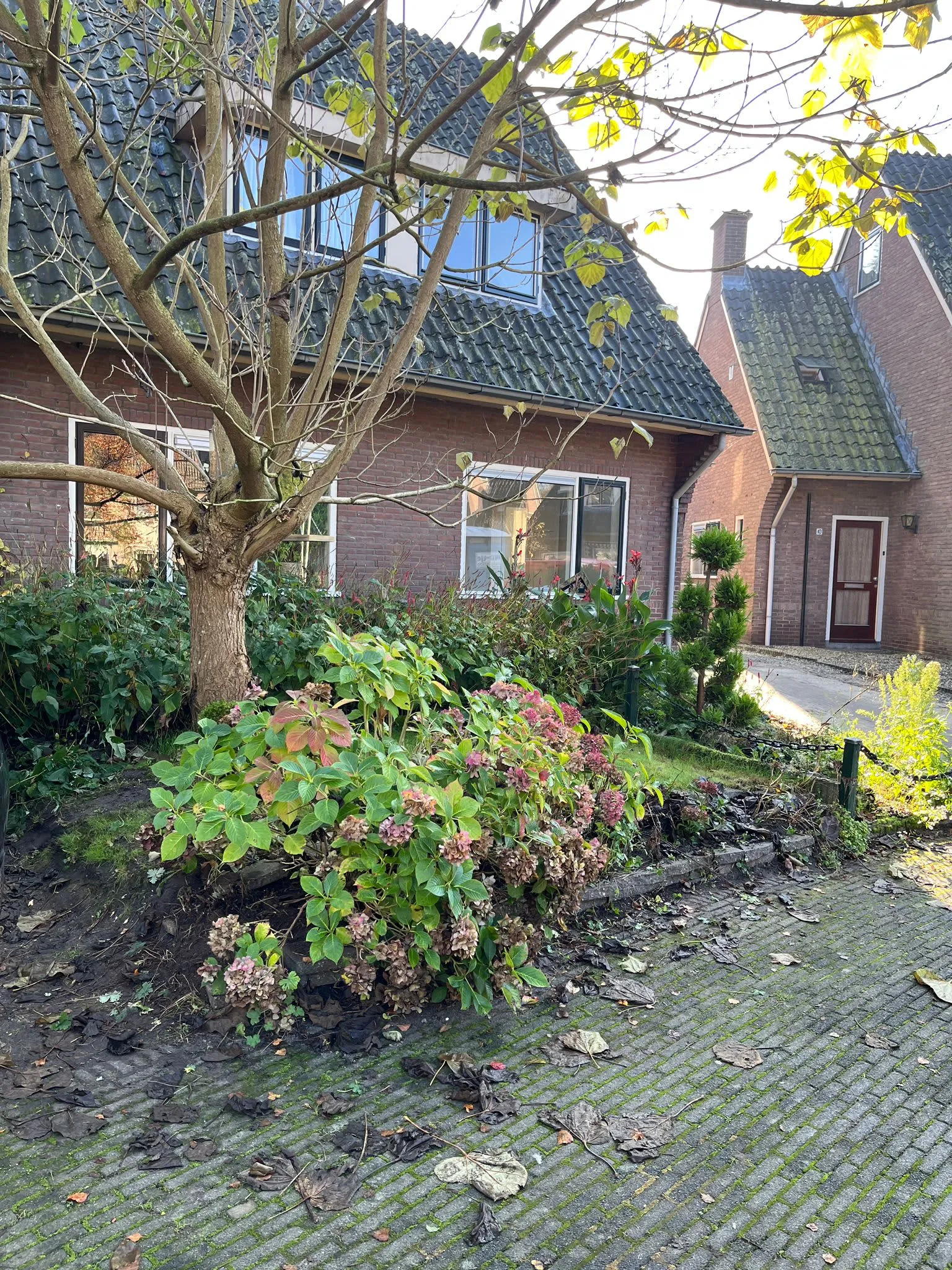 Oude Rijksstraatweg