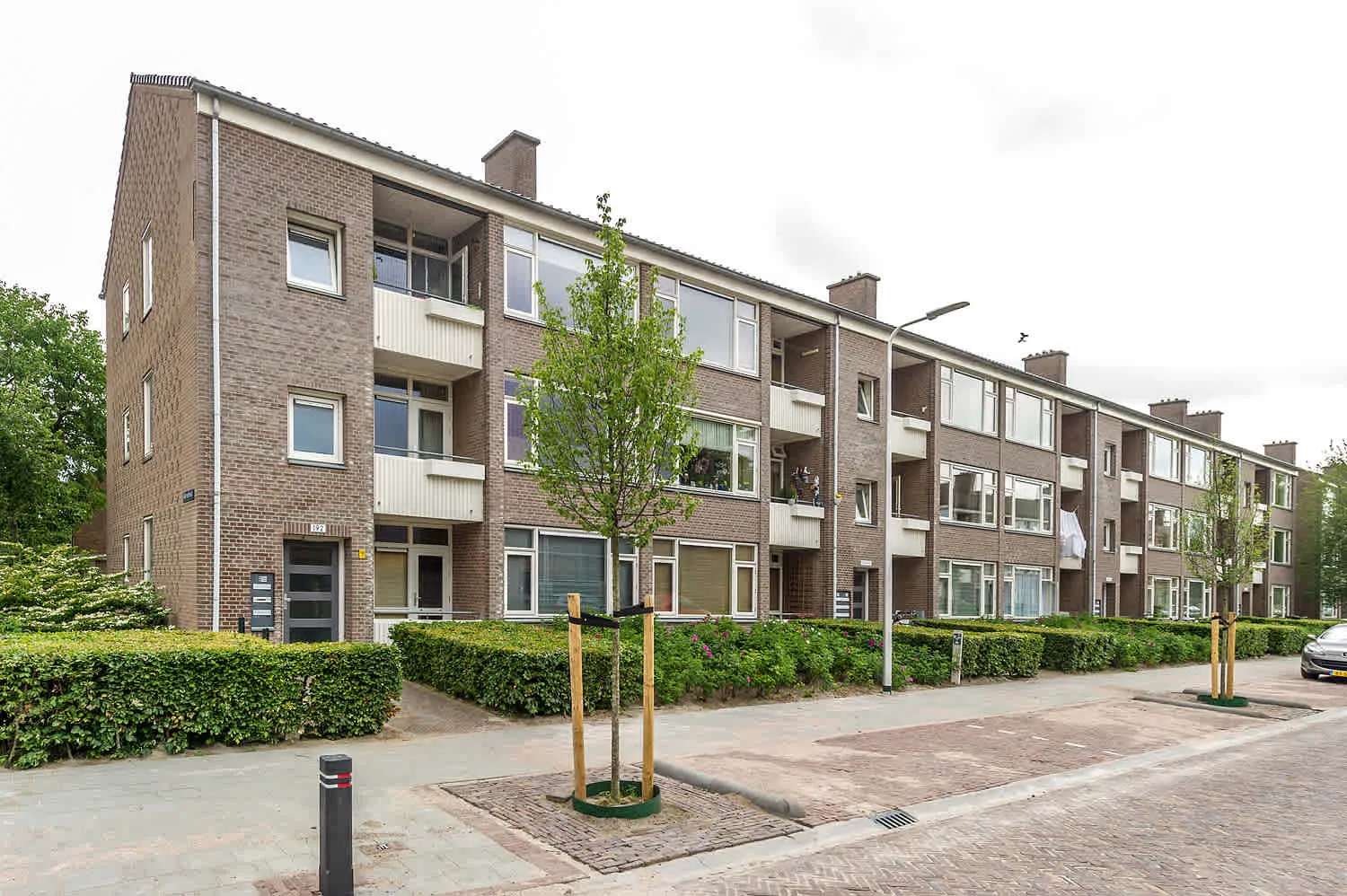Woestijgerweg