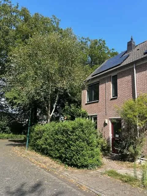Vlierbes