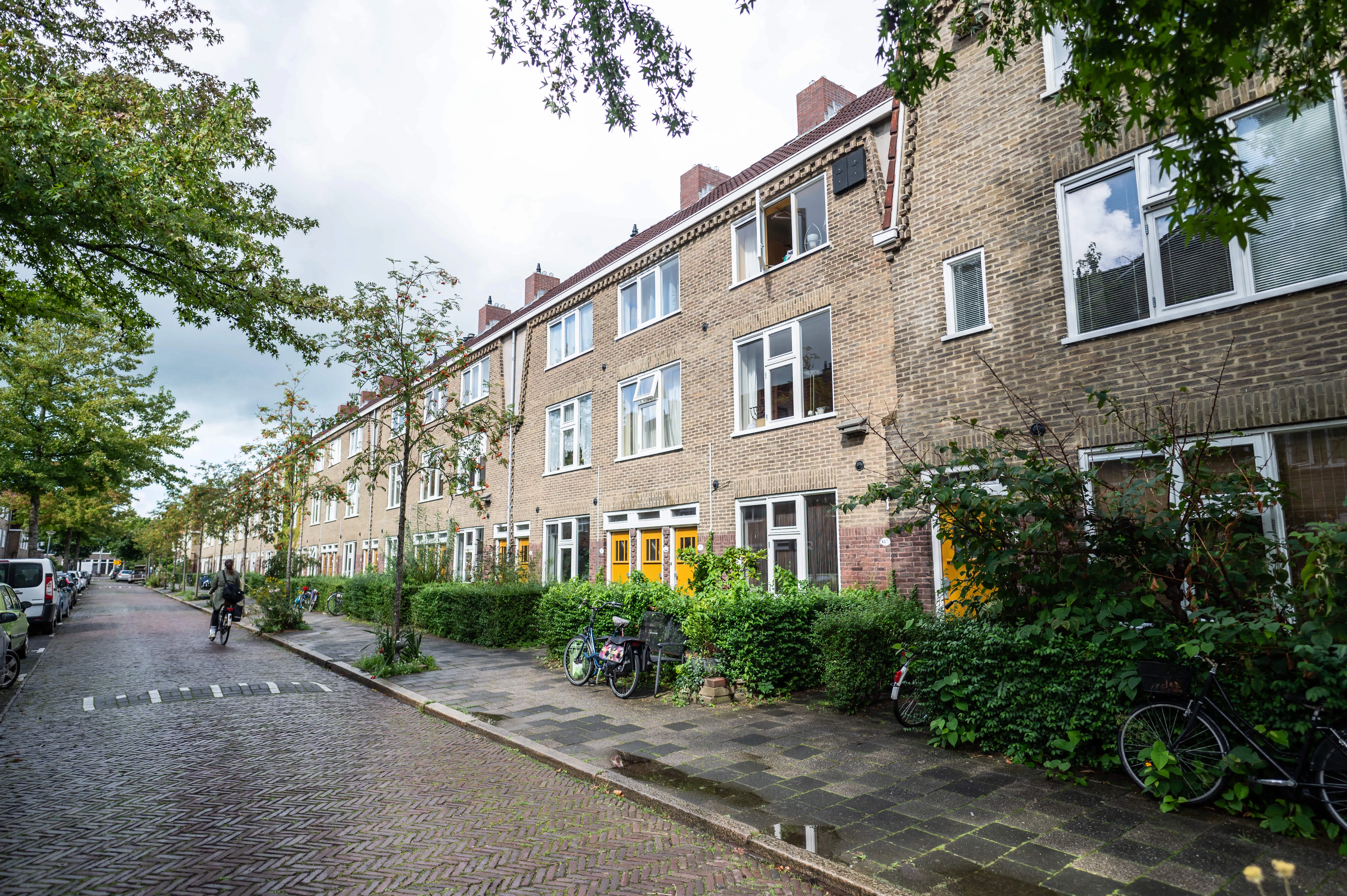 A.P. Fokkerstraat