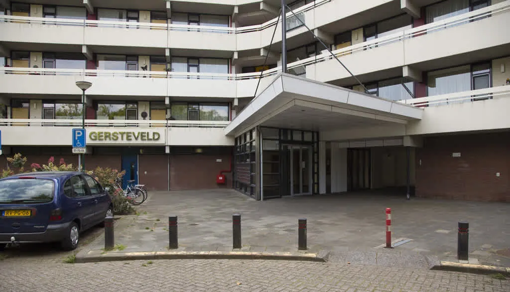 Gersteveld
