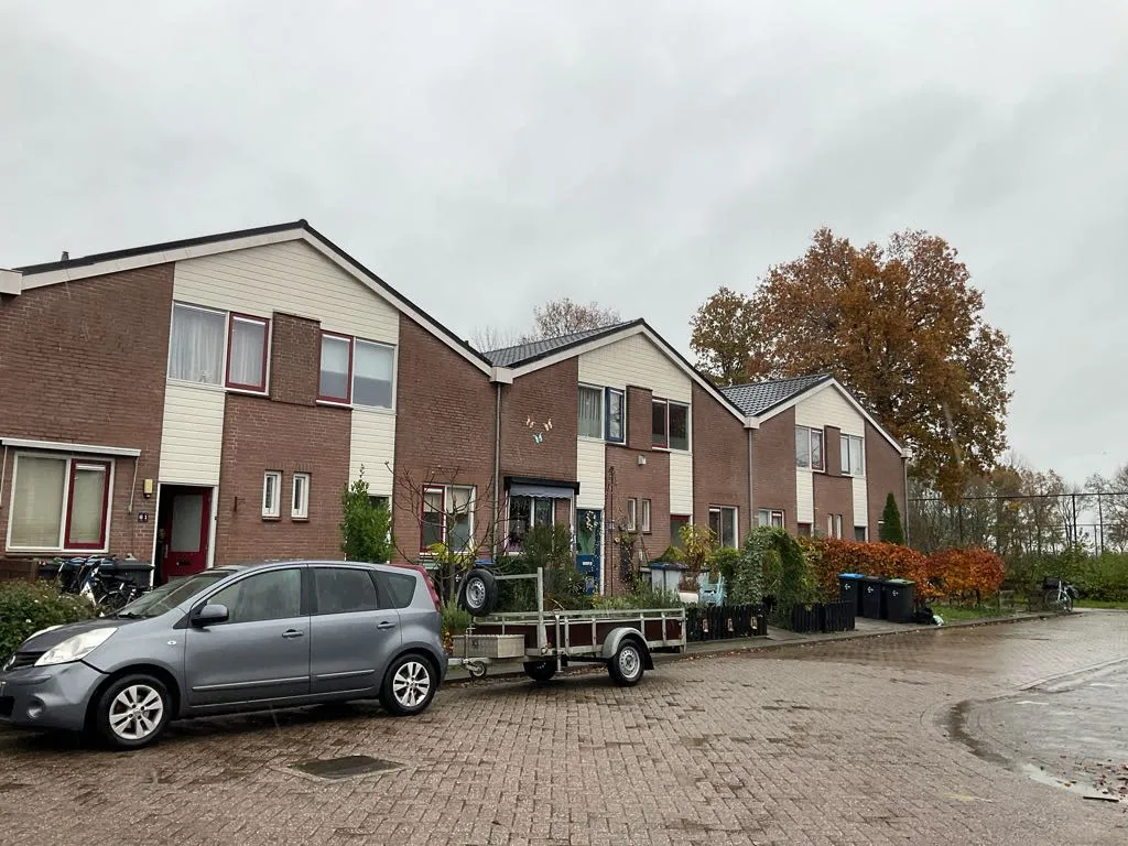 Pinksterbloem