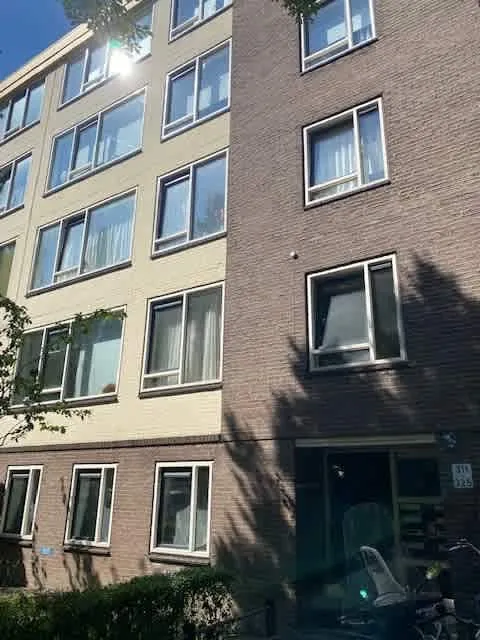 Livingstonelaan