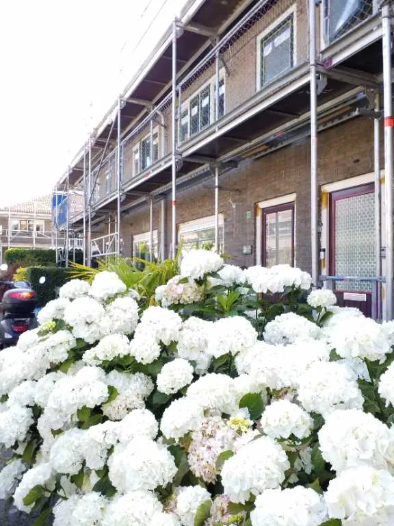 Havikstraat 26 2025ZP Haarlem