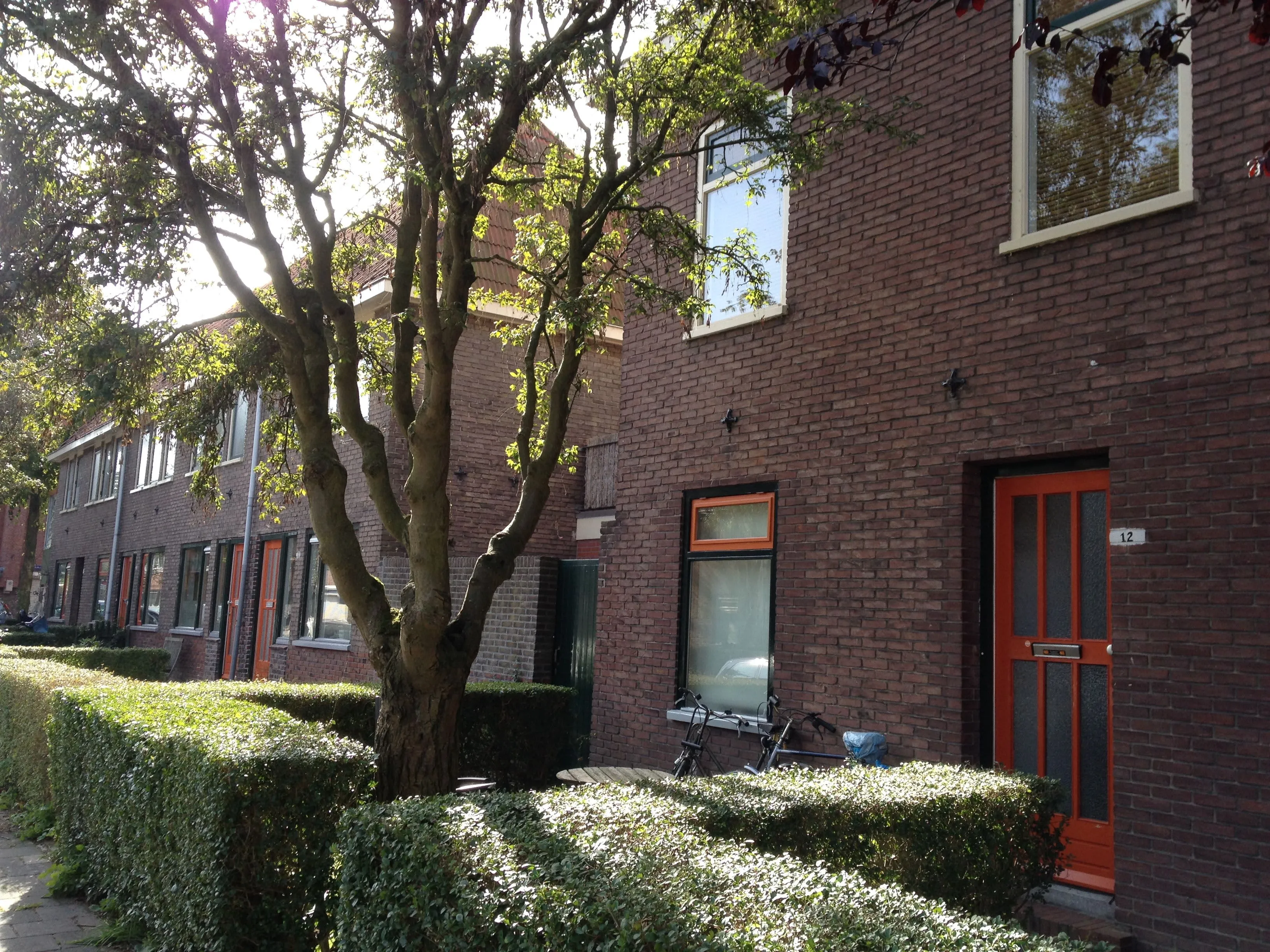 Goudenregenstraat
