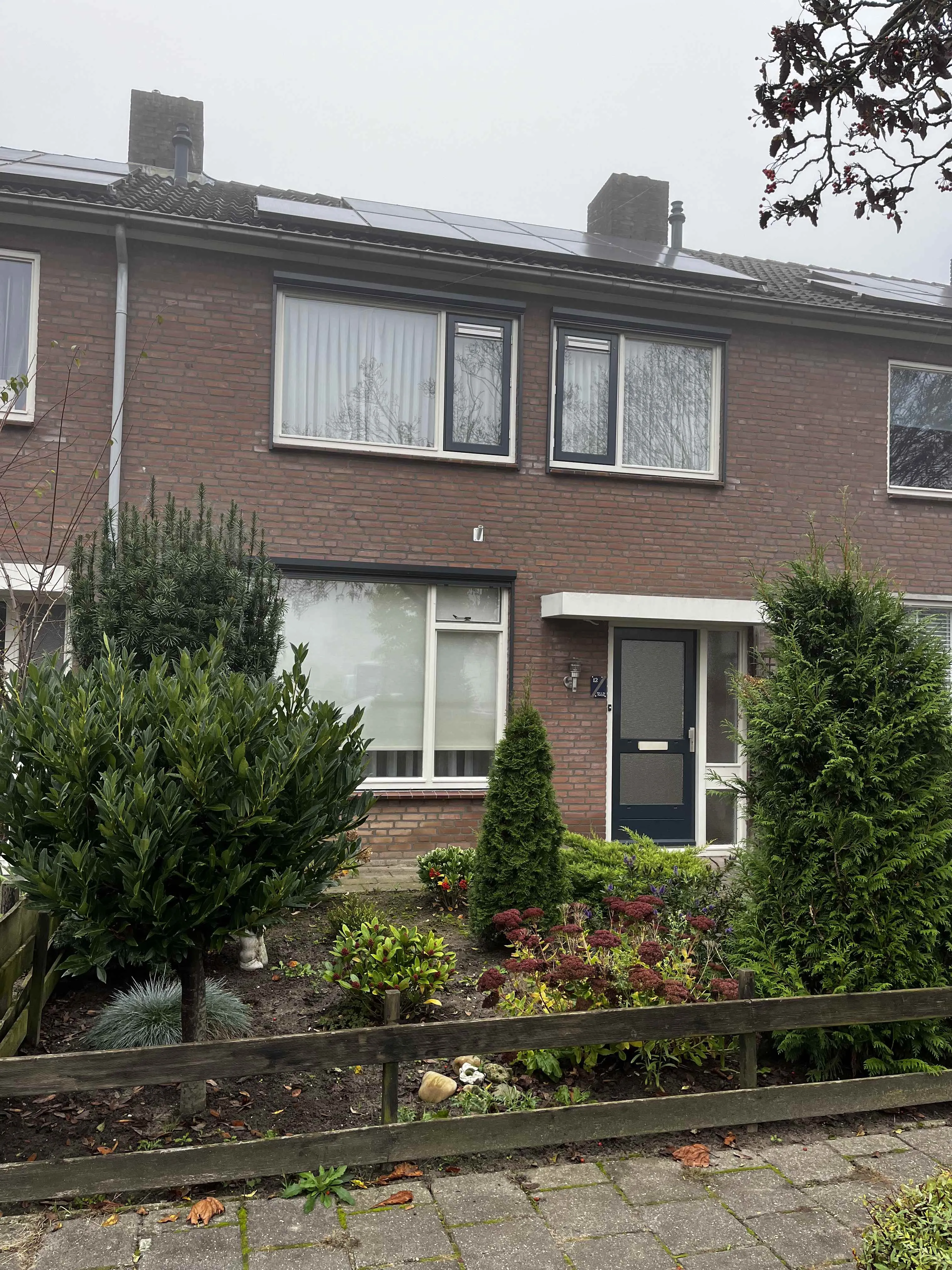 van Haagenstraat