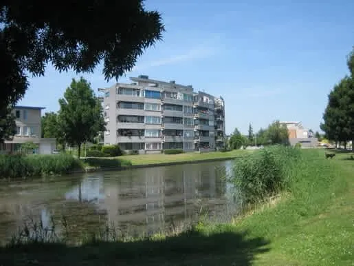 Palissander