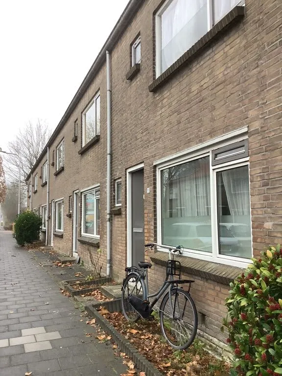 Korenbloemstraat