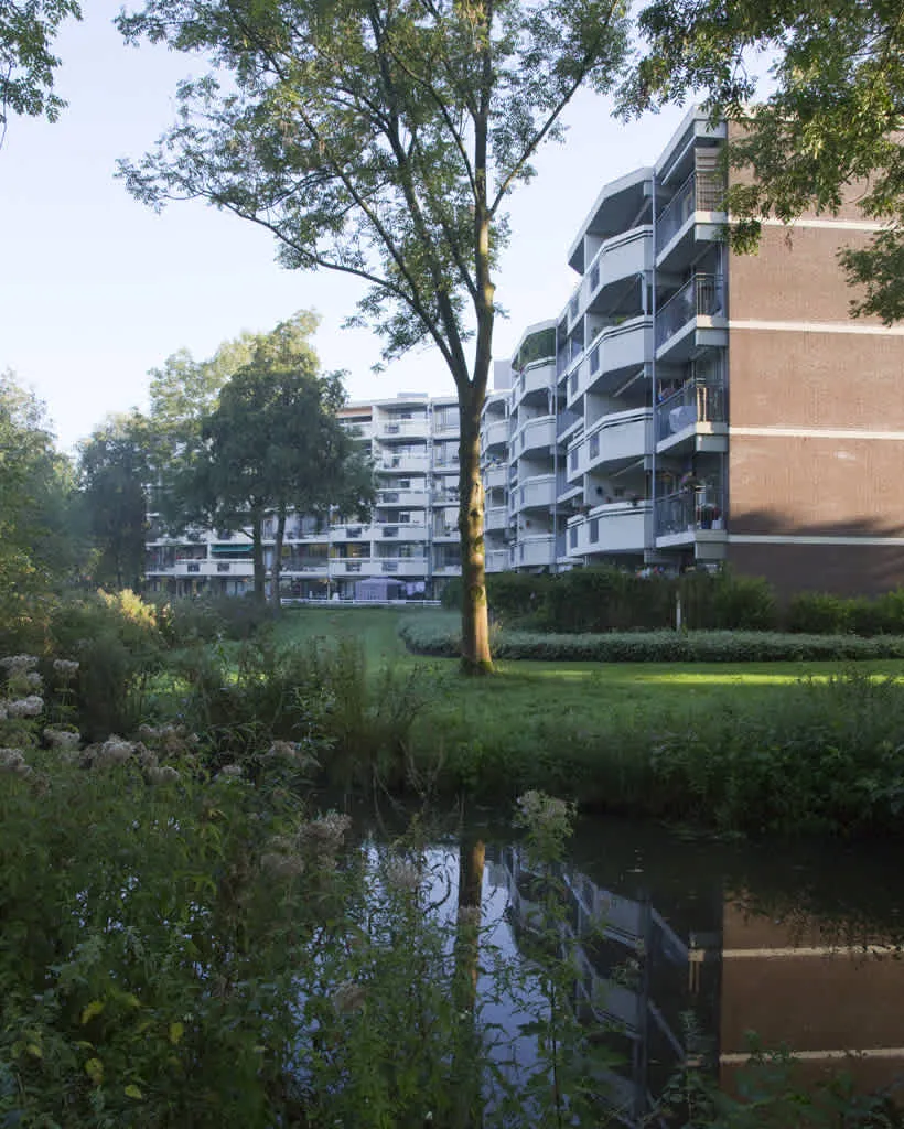 Tarweveld