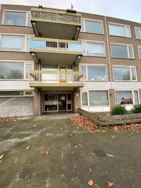 Tigrisdreef