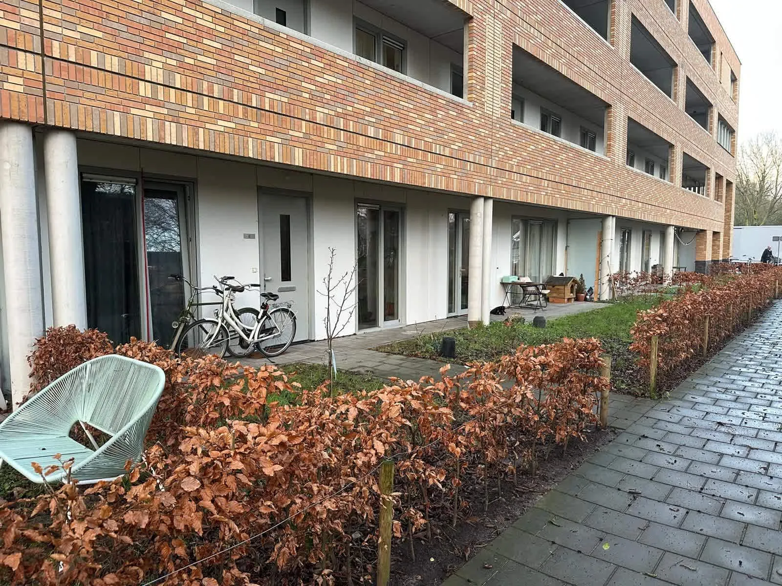 Dierenriemstraat