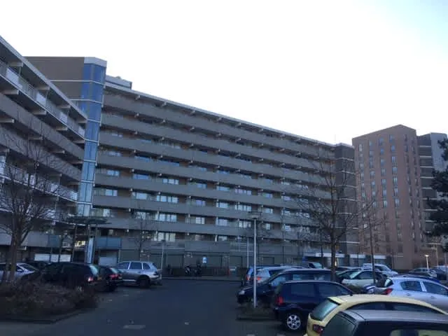 Albert Loethoelistraat