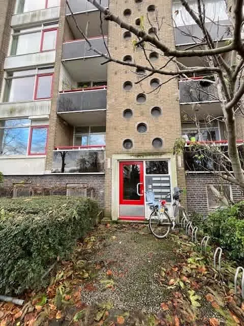 Aalbersestraat