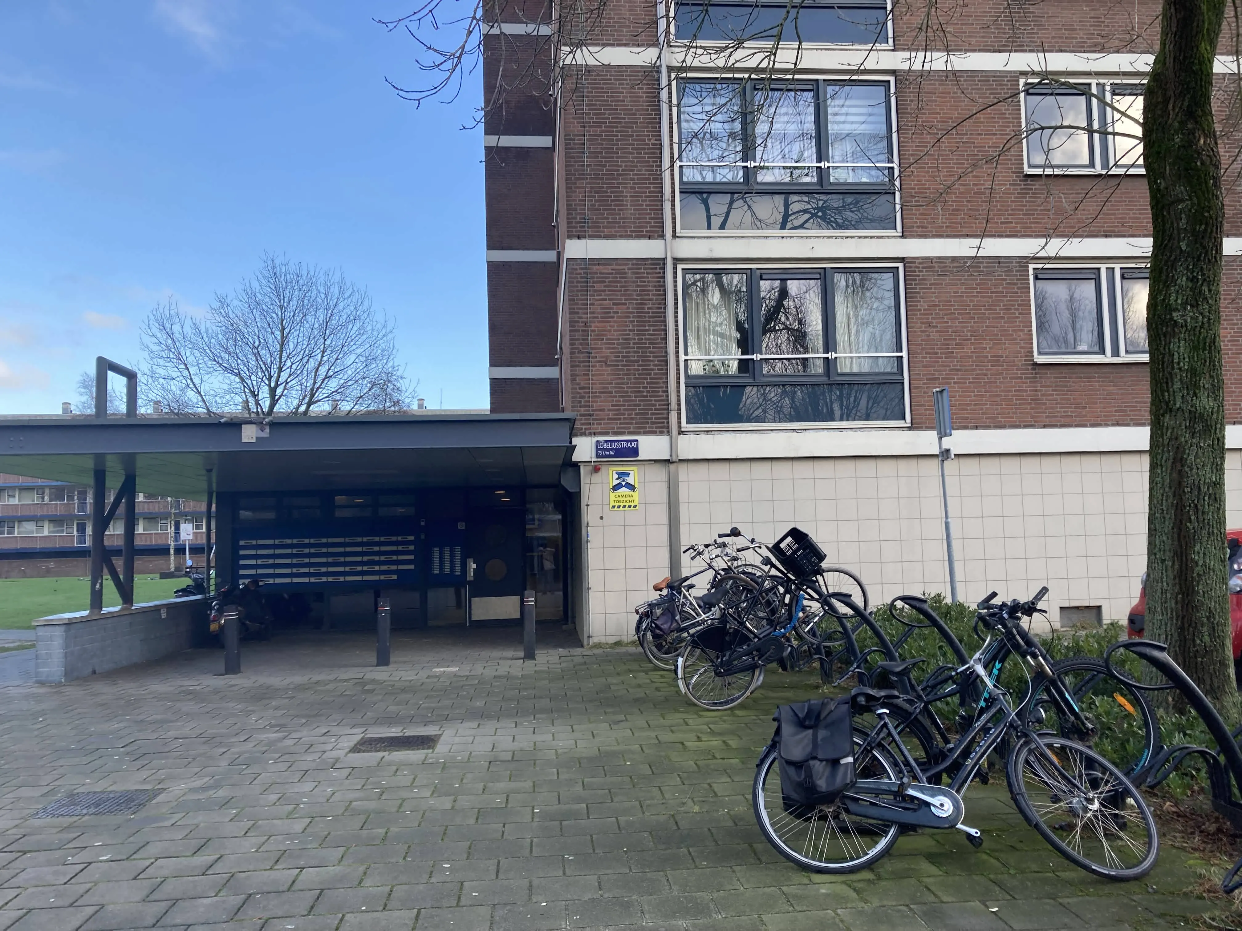 Lobeliusstraat