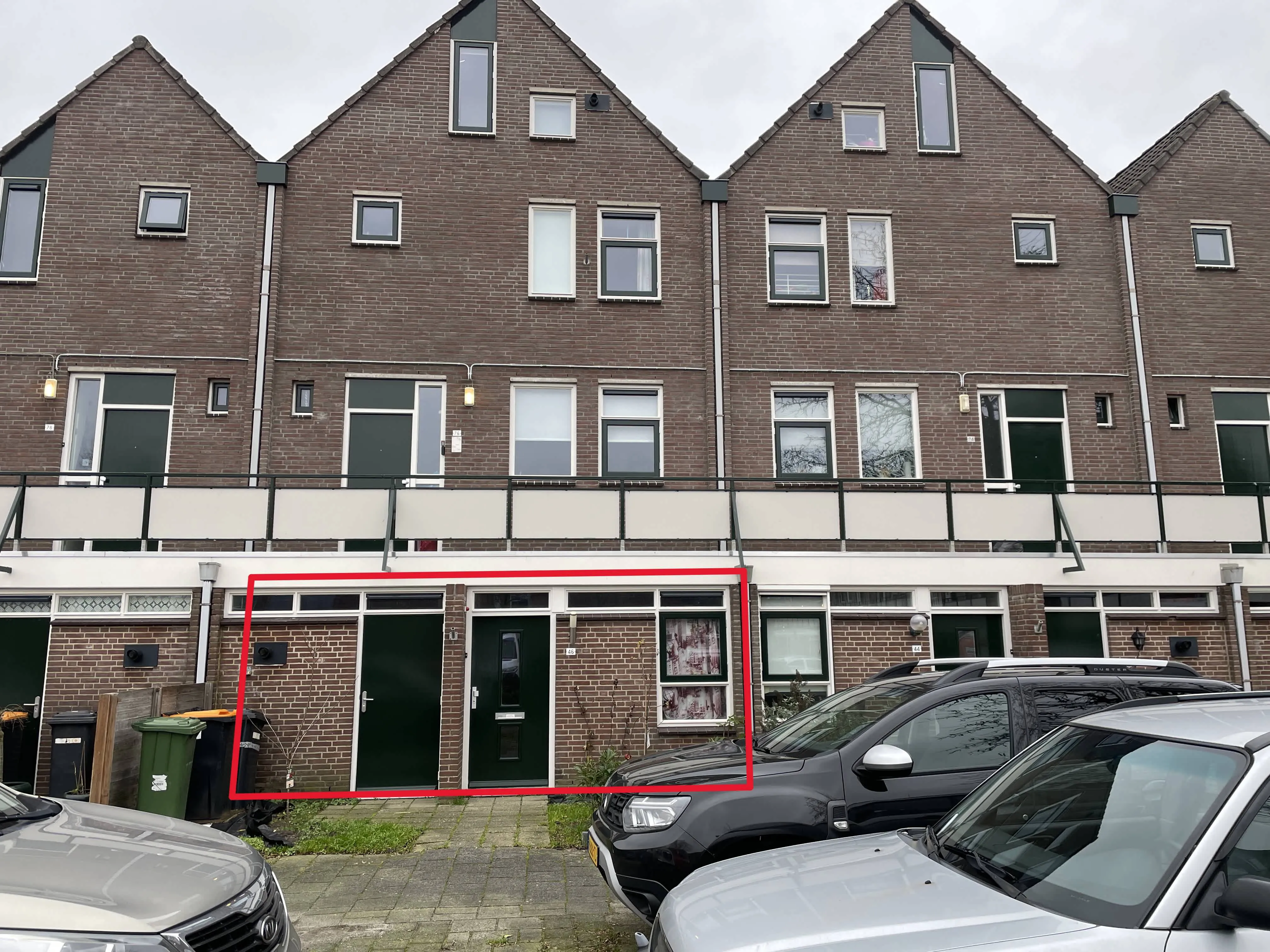 Boekweitveld