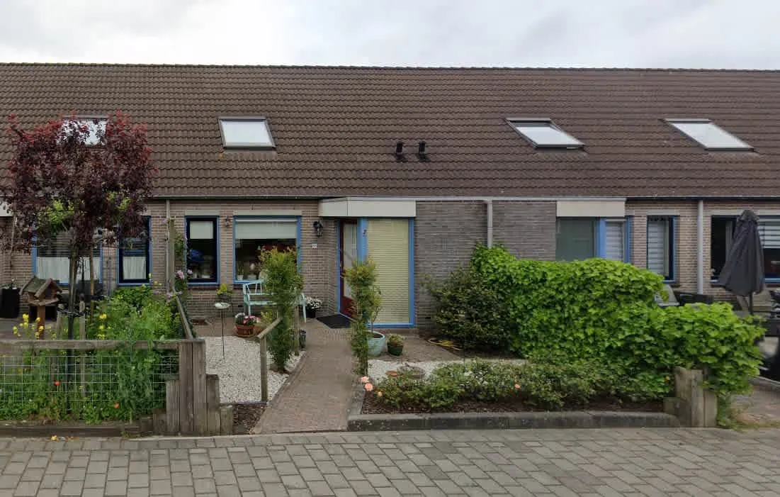Zwanebloem