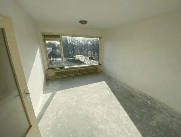 Thumbnail 13