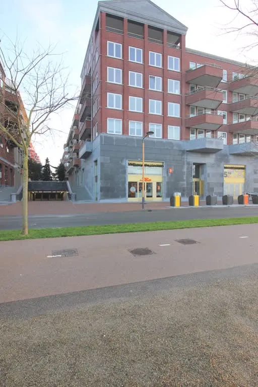 Grauwaartsingel