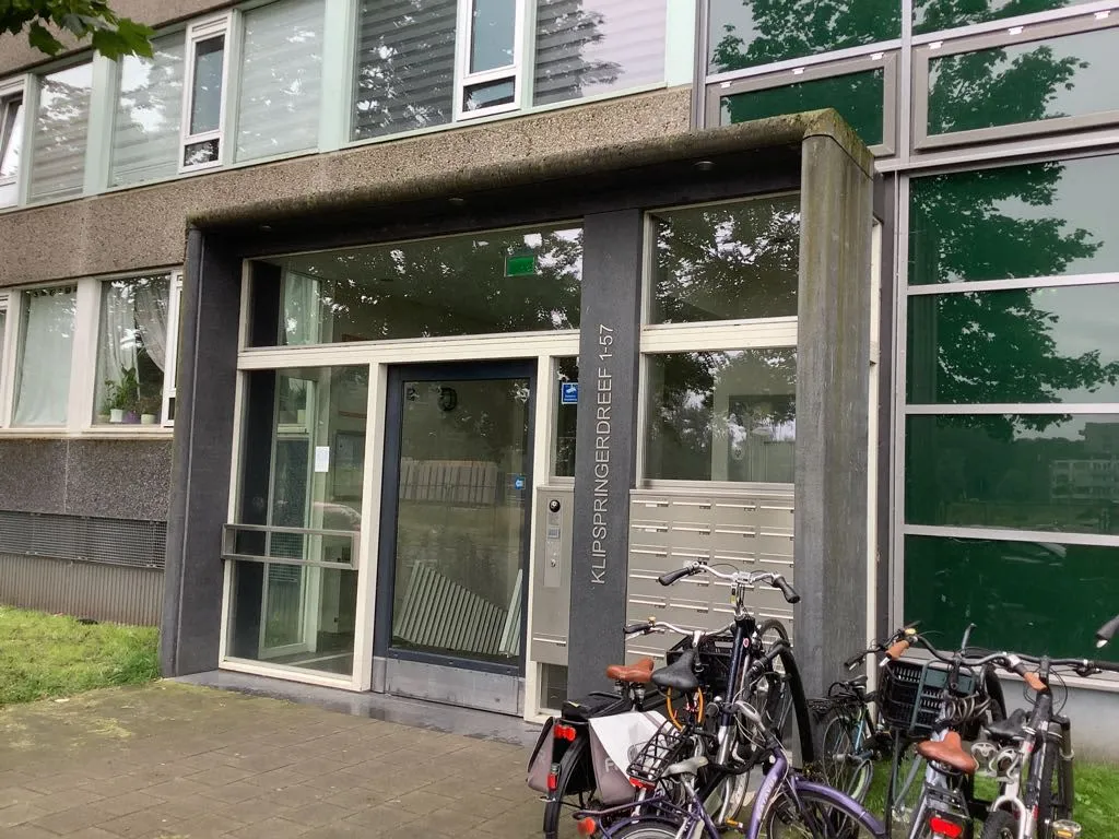 Klipspringerdreef