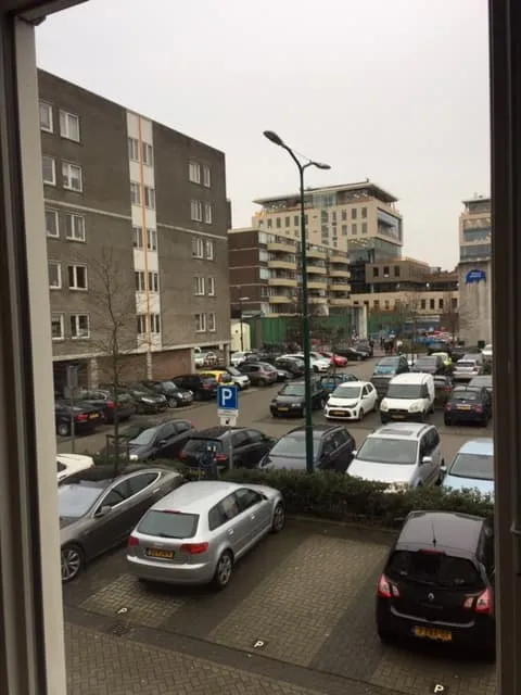 Bisonspoor
