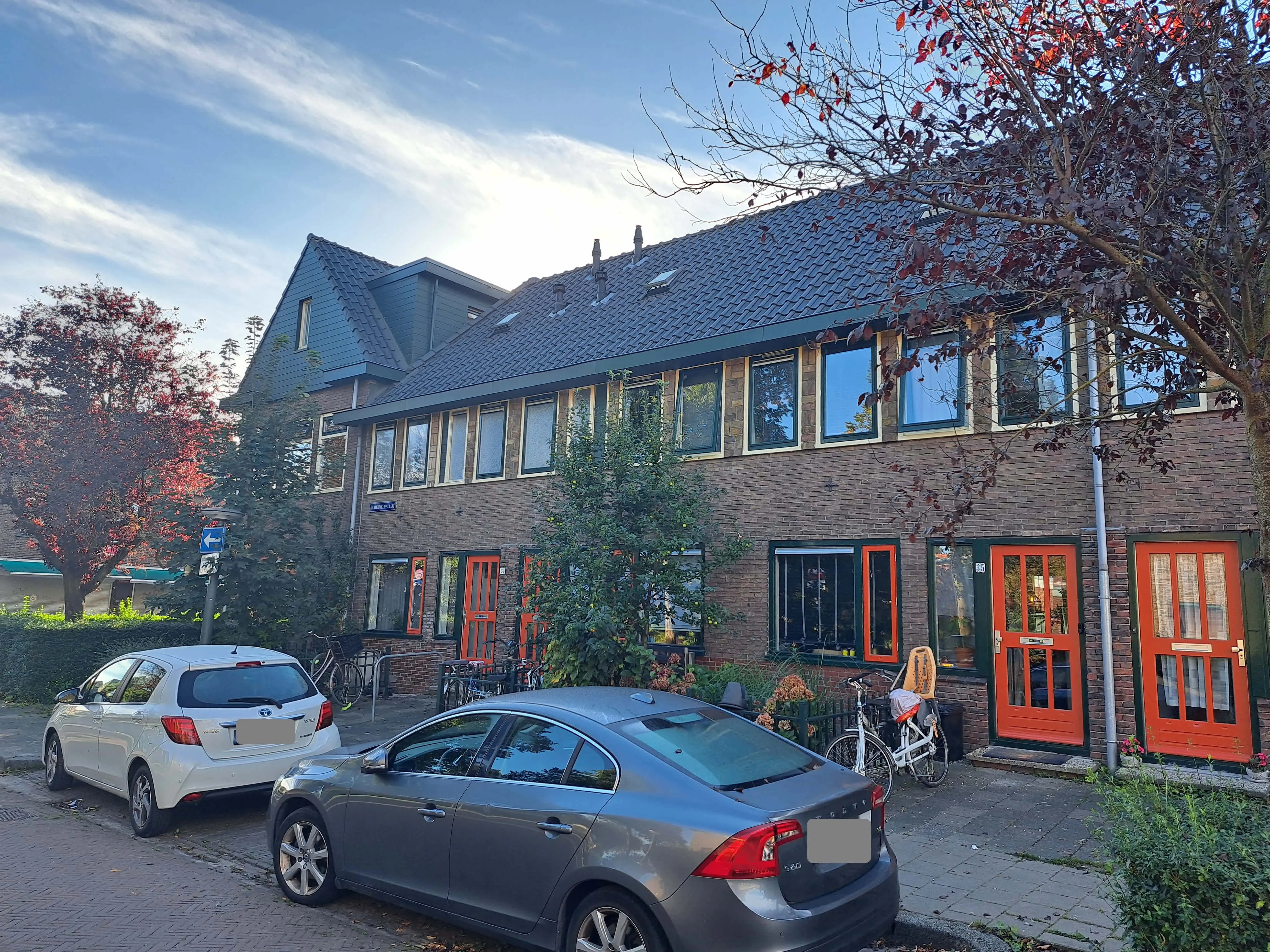 Goudenregenstraat