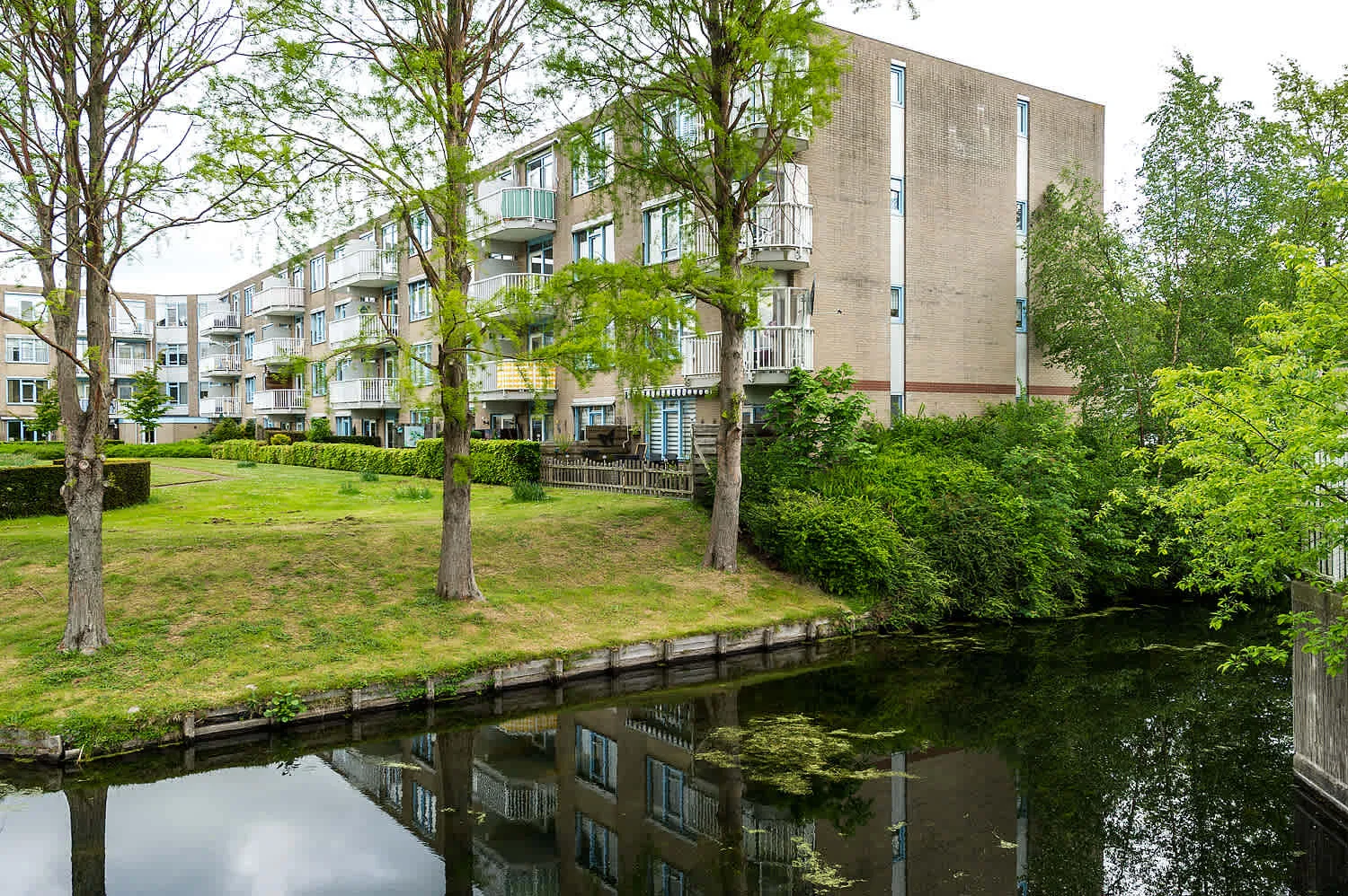 Albert Schweitzersingel